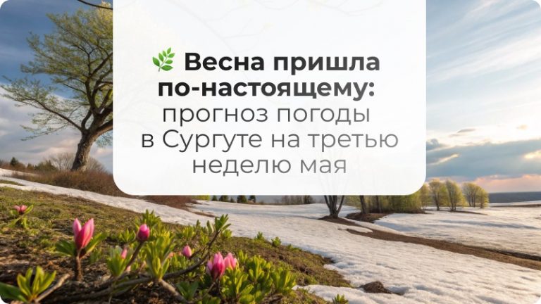 🌿 Весна пришла по-настоящему: прогноз погоды в Сургуте на третью неделю мая