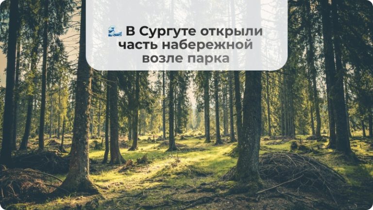 🌊 В Сургуте открыли часть набережной Саймы у госуниверситета