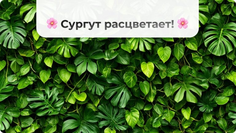 За неделю в городе высадят 400 000 цветов! 💐