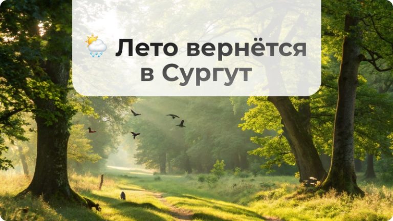 🌦 Лето вернётся — осталось чуть-чуть потерпеть!