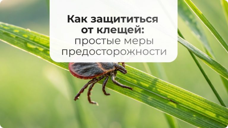 Как защититься от клещей: простые меры предосторожности