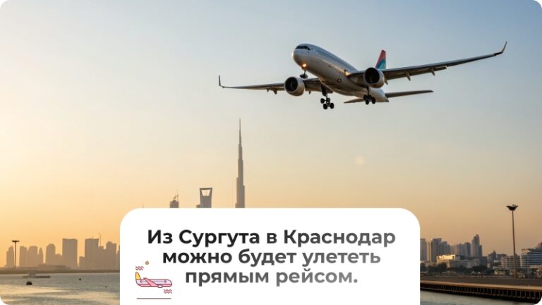 Из Сургута в Краснодар можно будет улететь прямым рейсом.